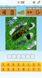 screenshoot for Scratch and guess the animal