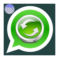 logo for Beta Whatsapp updates Plus
