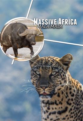 poster for Massive Africa Mala Mala 2019
