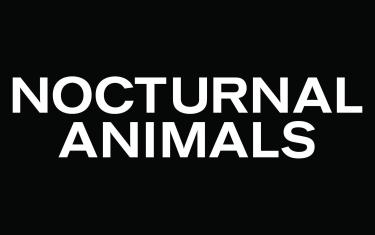 screenshoot for Nocturnal Animals