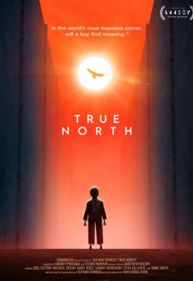 poster for True North 2020