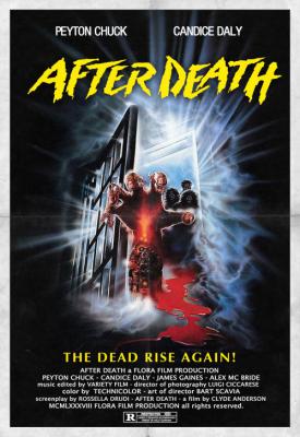 image for  After Death movie
