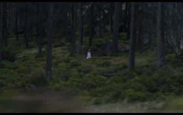 screenshoot for Don’t Leave Home