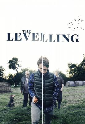 image for  The Levelling movie
