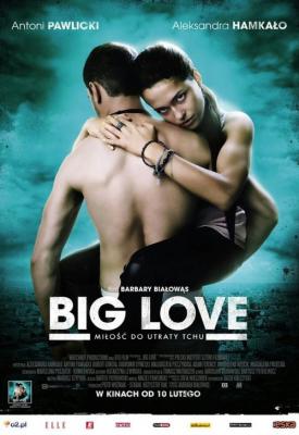 poster for Big Love 2012