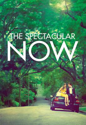 image for  The Spectacular Now movie