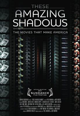 image for  These Amazing Shadows movie