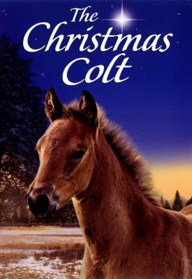 poster for The Christmas Colt 2013